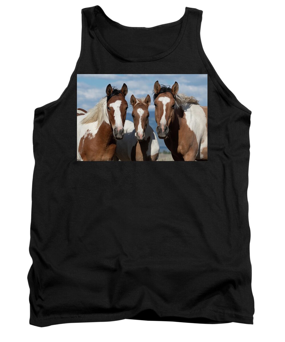 Wild Horses Tank Top featuring the photograph The Perfect Pose by Mary Hone