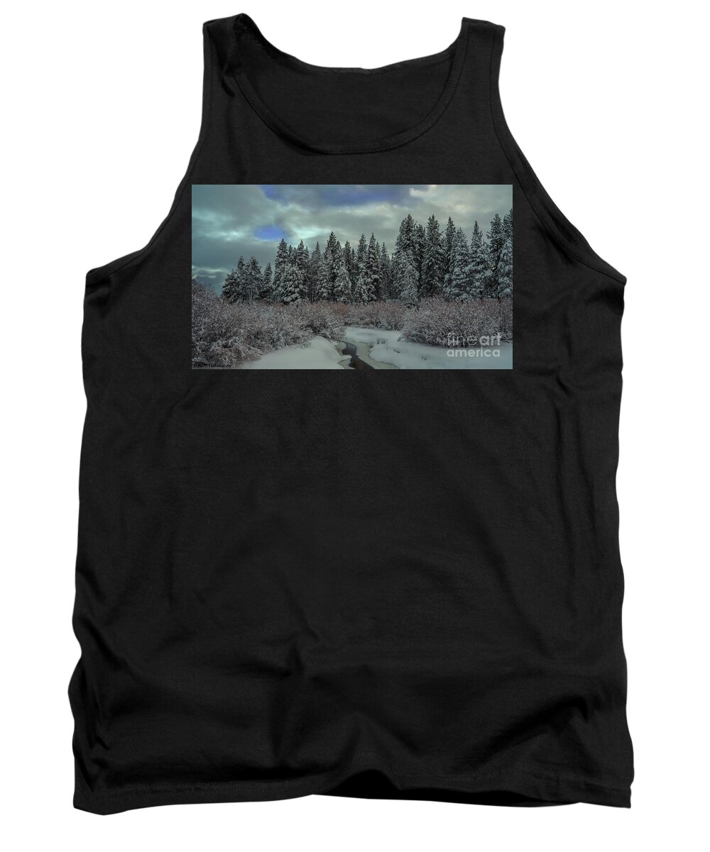  California U.s.a. Tank Top featuring the photograph upper meadow after the storm, El Dorado National Forest, California, U.S.A. by PROMedias US