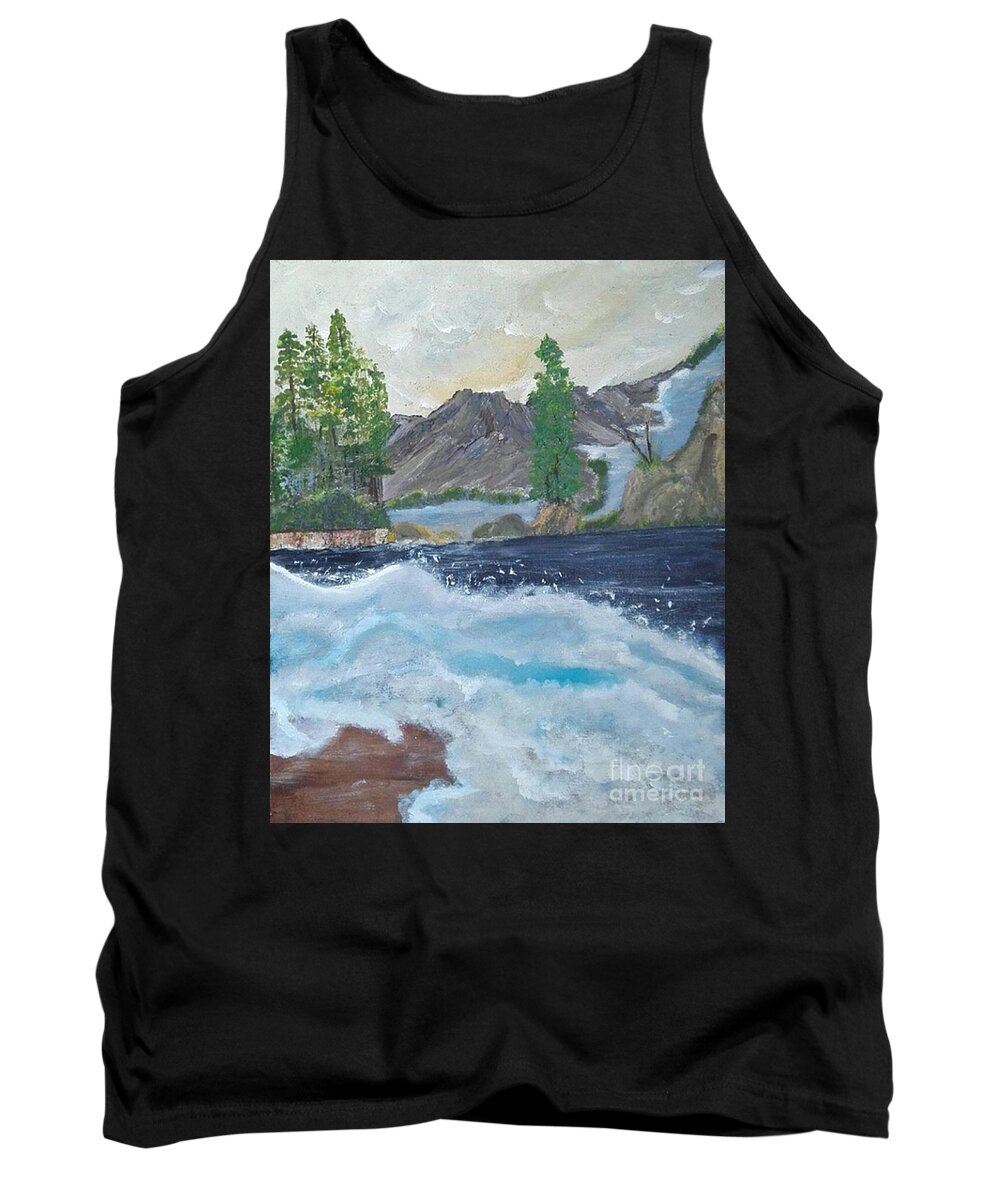 Acrylic Tank Top featuring the painting Waterdamn by Denise Morgan