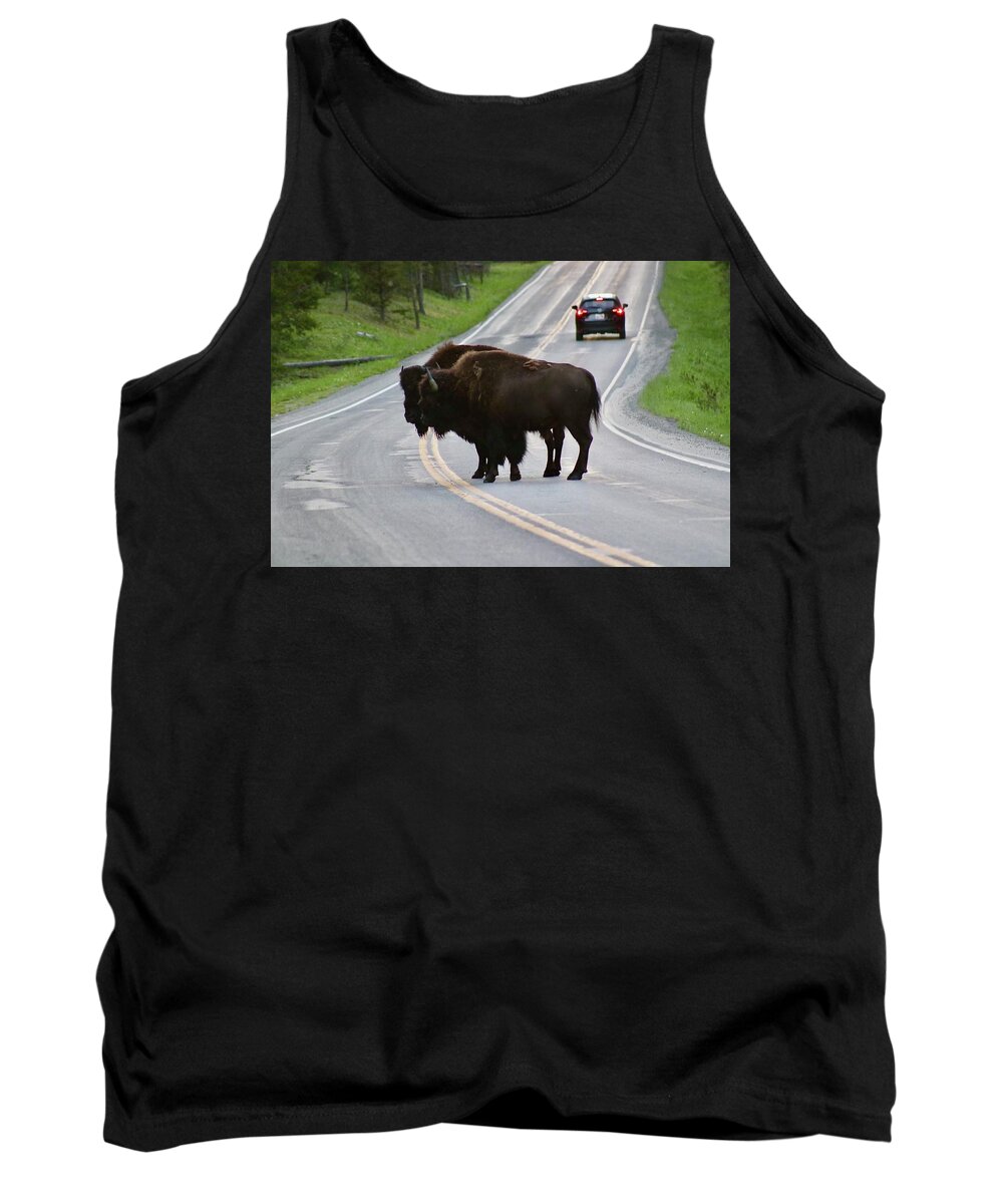 Bison Tank Top featuring the photograph Which way should we go? by Yvonne M Smith