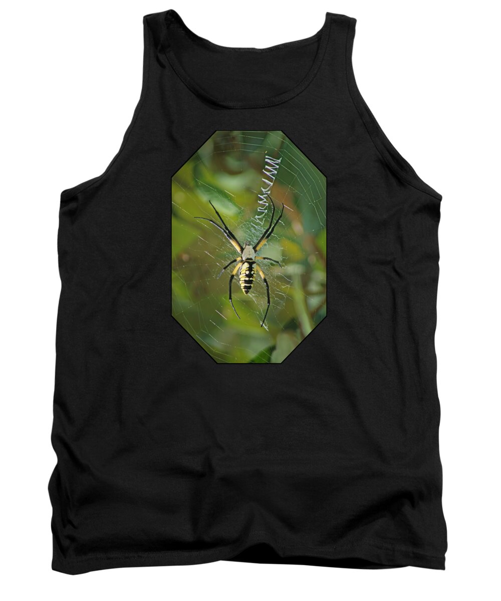Insects Tank Top featuring the photograph Yellow Garden Spider by Nikolyn McDonald