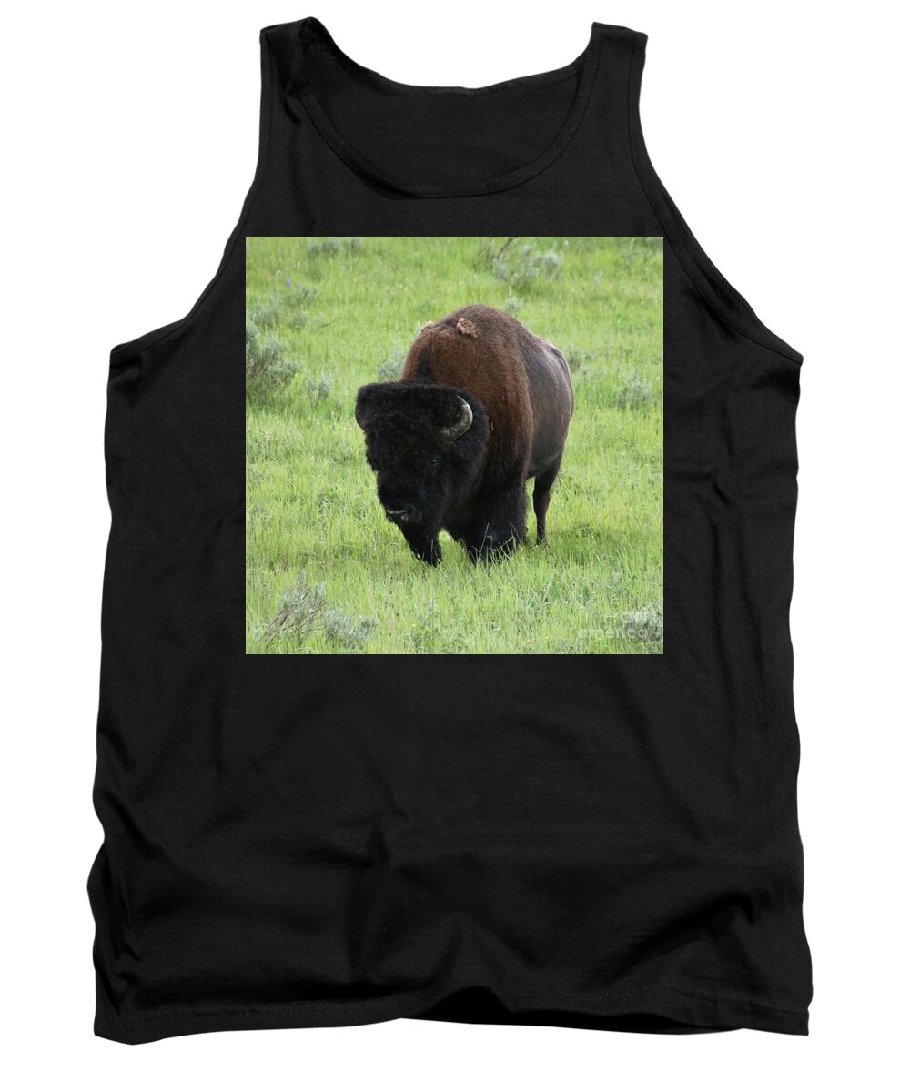 Bison Tank Top featuring the photograph You talkin to me? by Yvonne M Smith