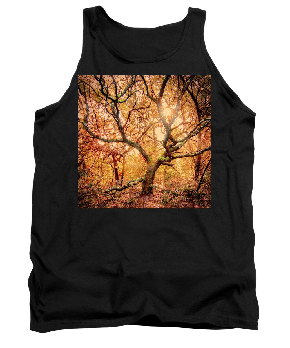 Live Oak Tree Tank Top featuring the photograph Young LIve Oak Tree in the Maritime Forest of the Crystal Coast by Bob Decker