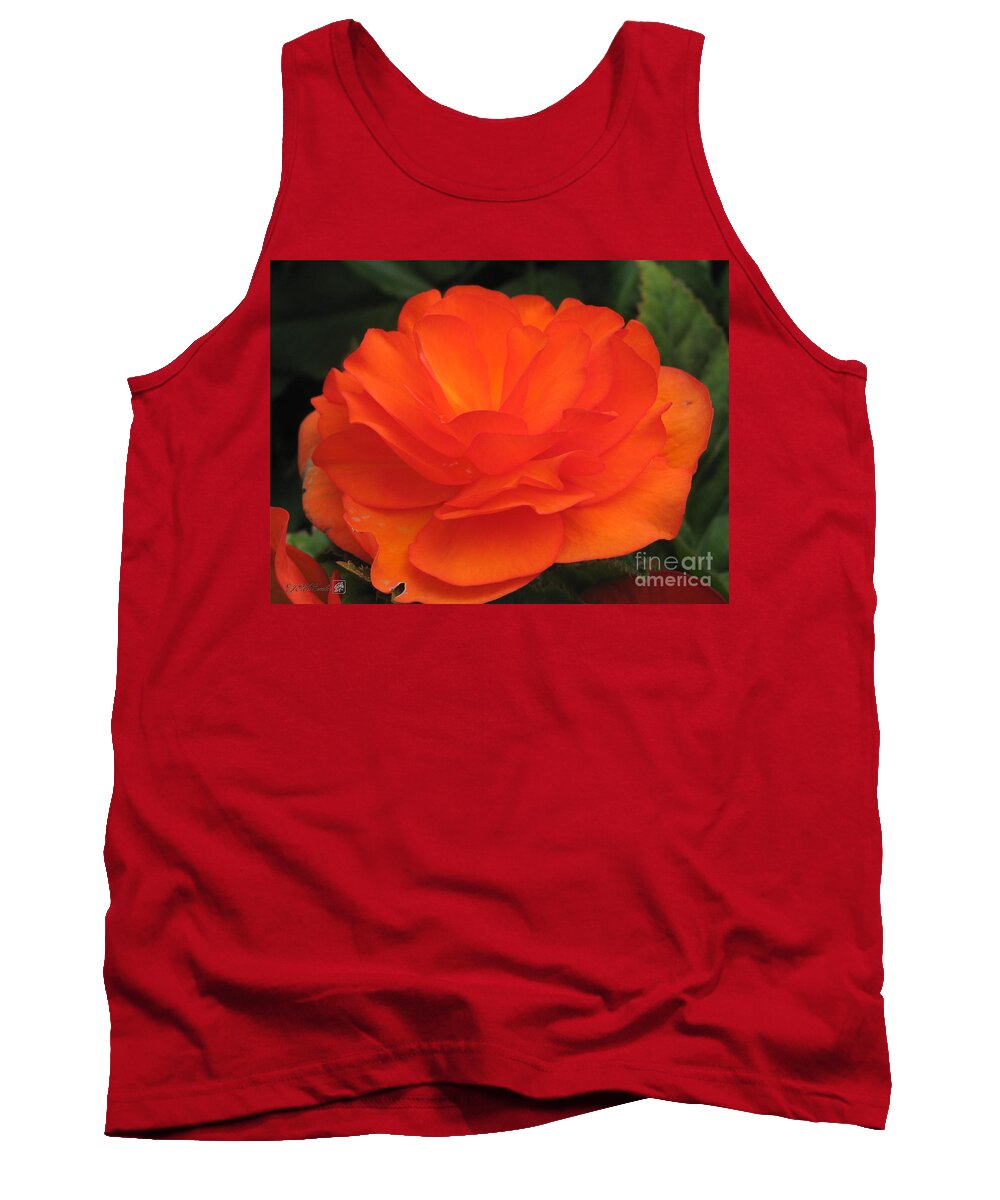 Begonia Tank Top featuring the photograph Begonia named Nonstop Apricot #2 by J McCombie