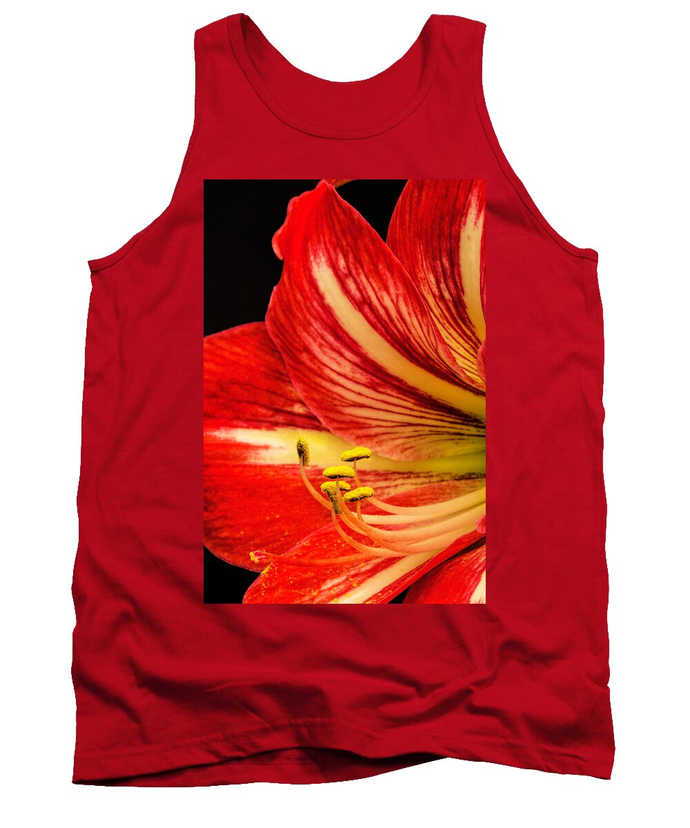 Art Prints Tank Top featuring the photograph Amaryllis Pollen by Dave Bosse