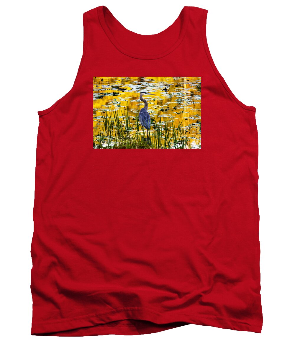 Blue Heron Tank Top featuring the photograph Blue Heron In A Golden Pond by Marina Kojukhova