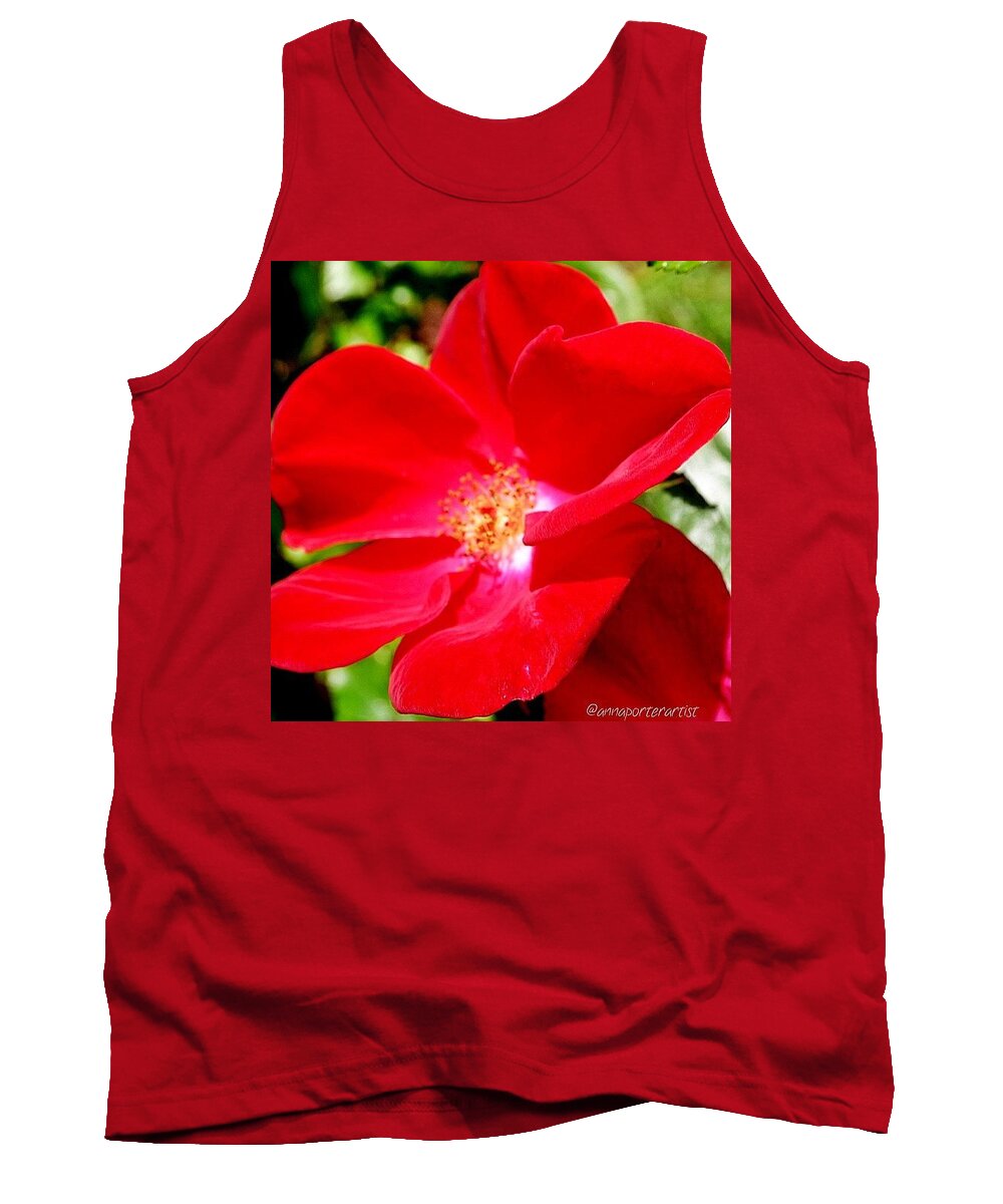 Floral_perfection Tank Top featuring the photograph Bright And Red-y #bright #red #rose by Anna Porter