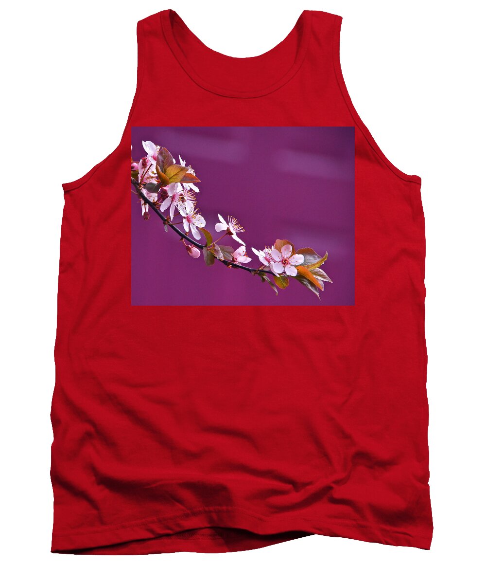 Cherry Blossoms Tank Top featuring the photograph Cherry Blossoms and Plum Door by Byron Varvarigos