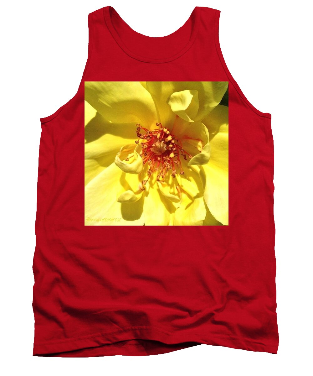 Rsa_nature_flowers Tank Top featuring the photograph Curly Cues, Yellow Rose In My Garden by Anna Porter