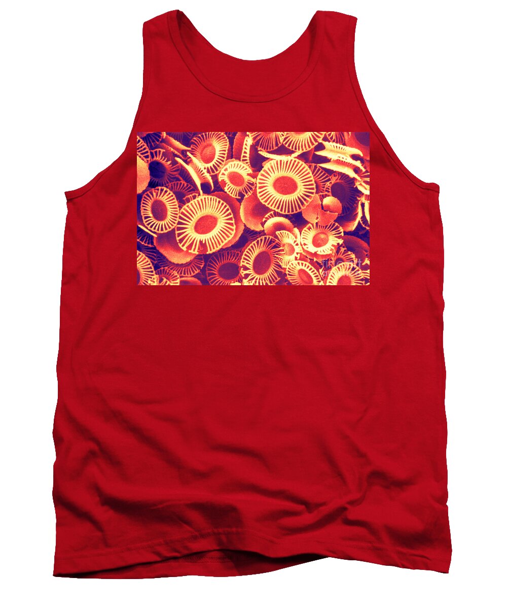 Histology Tank Top featuring the photograph Fossilized Coccoliths, Emiliania by Biophoto Associates