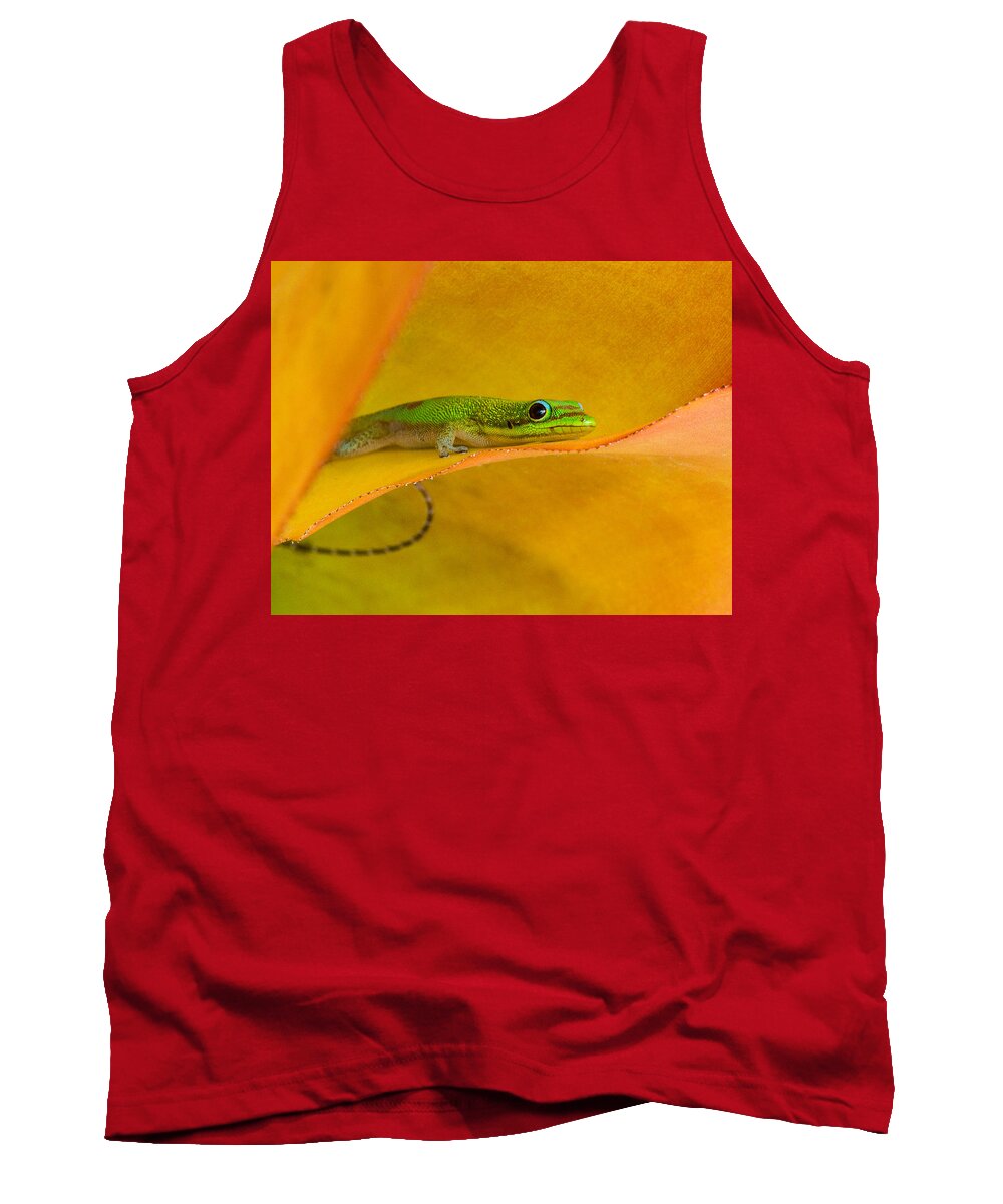 Hamukua Coast Tank Top featuring the photograph Gecko in the Leaves by Georgette Grossman