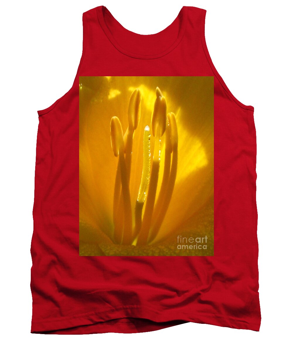Yellow Tank Top featuring the photograph God's light shining through by Jennifer E Doll