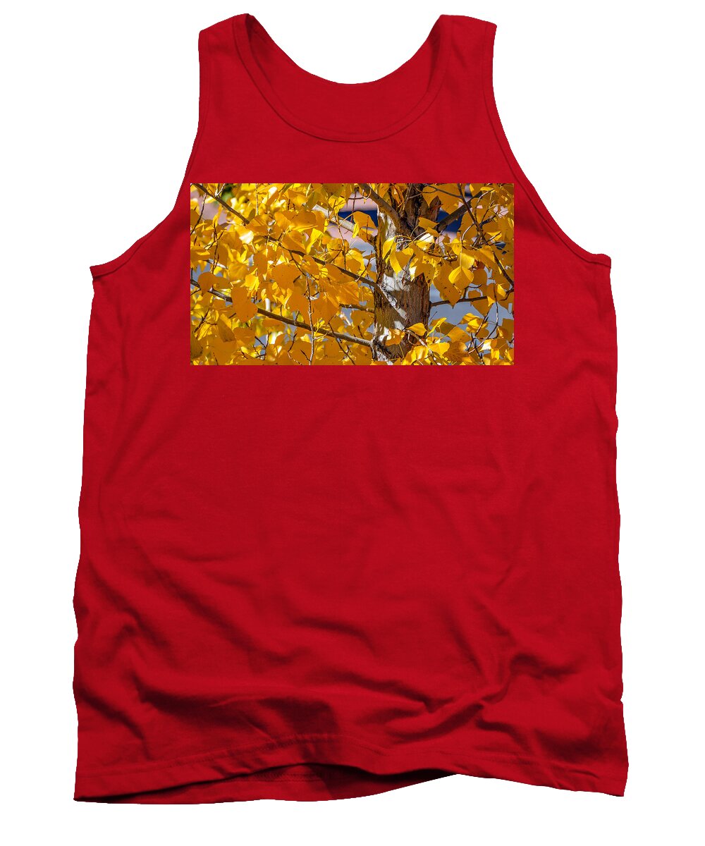 Tree Tank Top featuring the photograph Gold Tree by David Downs