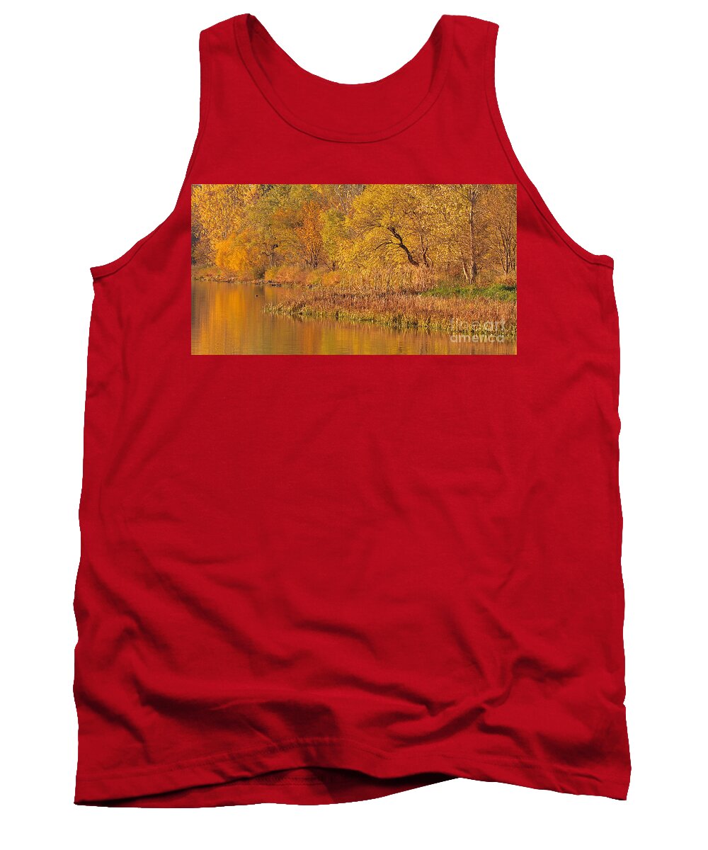 Chalco Hills Tank Top featuring the photograph Golden Sunrise by Elizabeth Winter