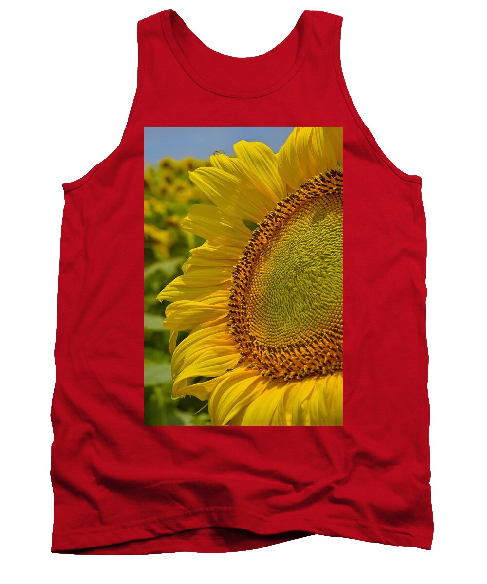 Itsy Bitsy Tank Top featuring the photograph Itsy Bitsy by Skip Hunt