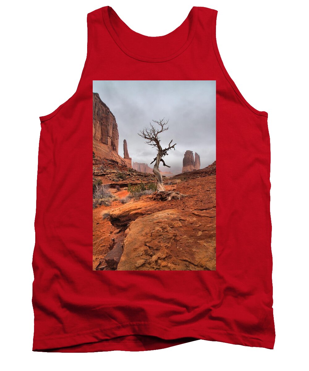 Arches Tank Top featuring the photograph King's Tree by David Andersen