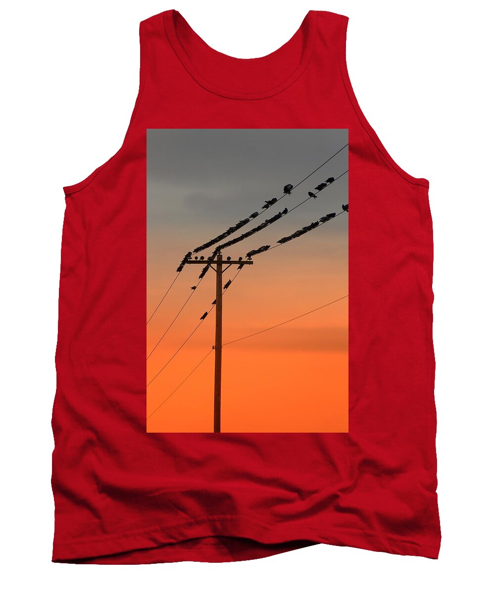 Pigeon Tank Top featuring the photograph Pigeon's Meeting by Randy Pollard