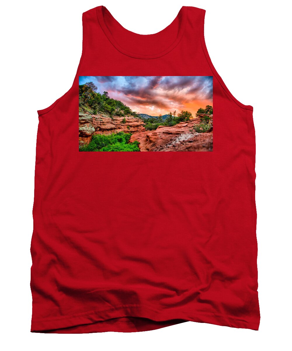 Landscape Tank Top featuring the photograph Red Canyon by Donald J Gray