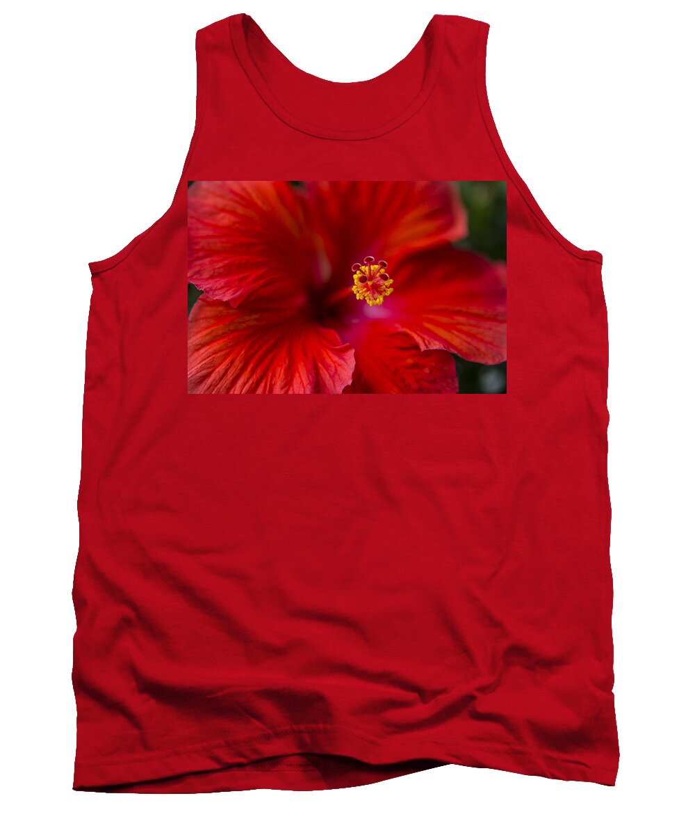 Red Tank Top featuring the photograph Red Hibiscus by Eduard Moldoveanu