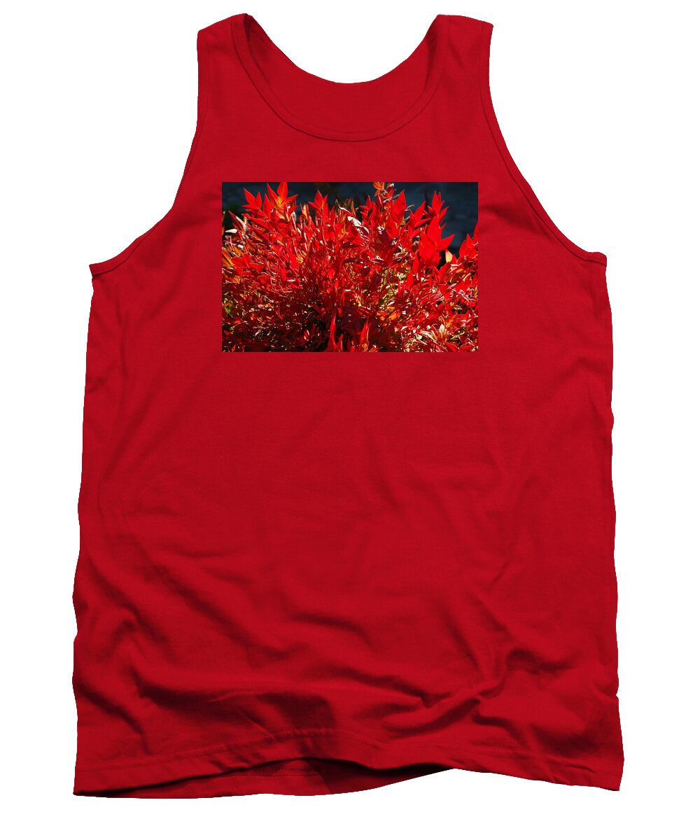 Linda Brody Tank Top featuring the photograph Red Leaves by Linda Brody