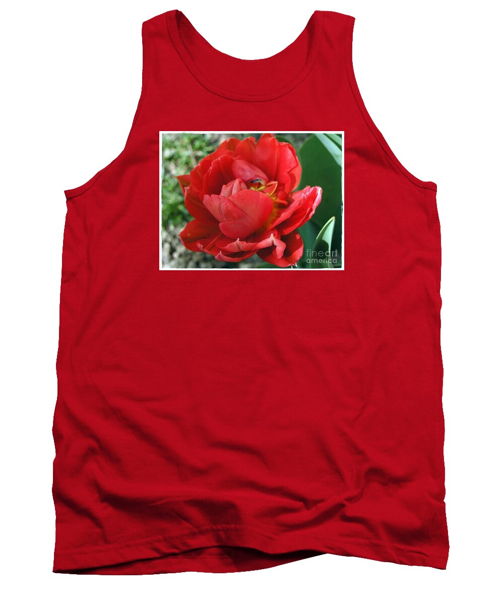 Red Tulip Tank Top featuring the photograph Red Tulip by Vesna Martinjak
