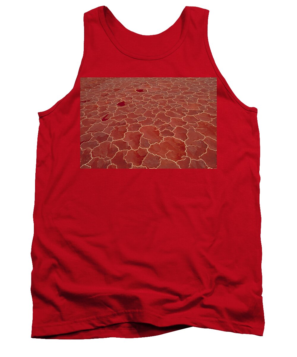 Feb0514 Tank Top featuring the photograph Soda And Algae Formation Lake Natron by Gerry Ellis