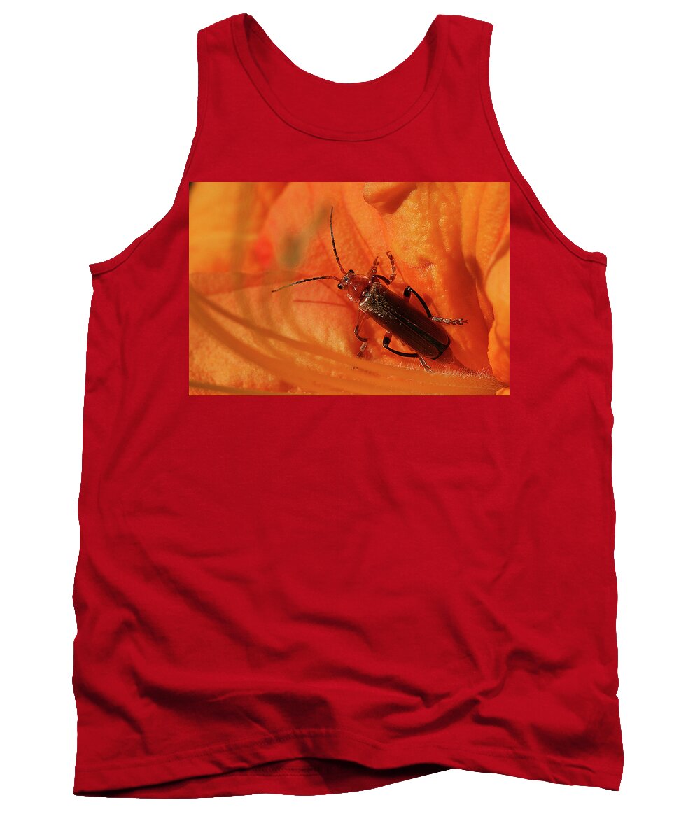 Soldier Beetle Tank Top featuring the photograph Soldier Beetle by Cindi Ressler