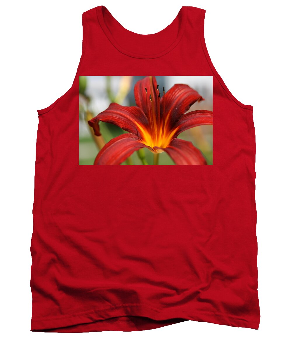 Lilies Tank Top featuring the photograph Sunburst Lily by Neal Eslinger