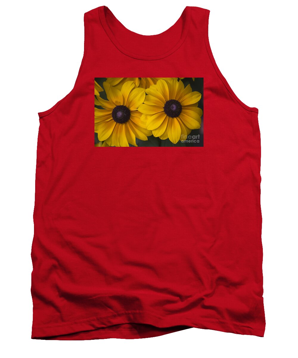 Sunshine Tank Top featuring the photograph Sunshine by Teresa Mucha