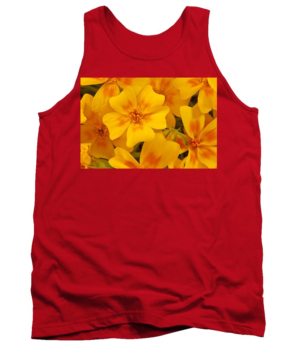 Marigold Tank Top featuring the photograph Tagette Marigold Blossoms Macro by Sandra Foster