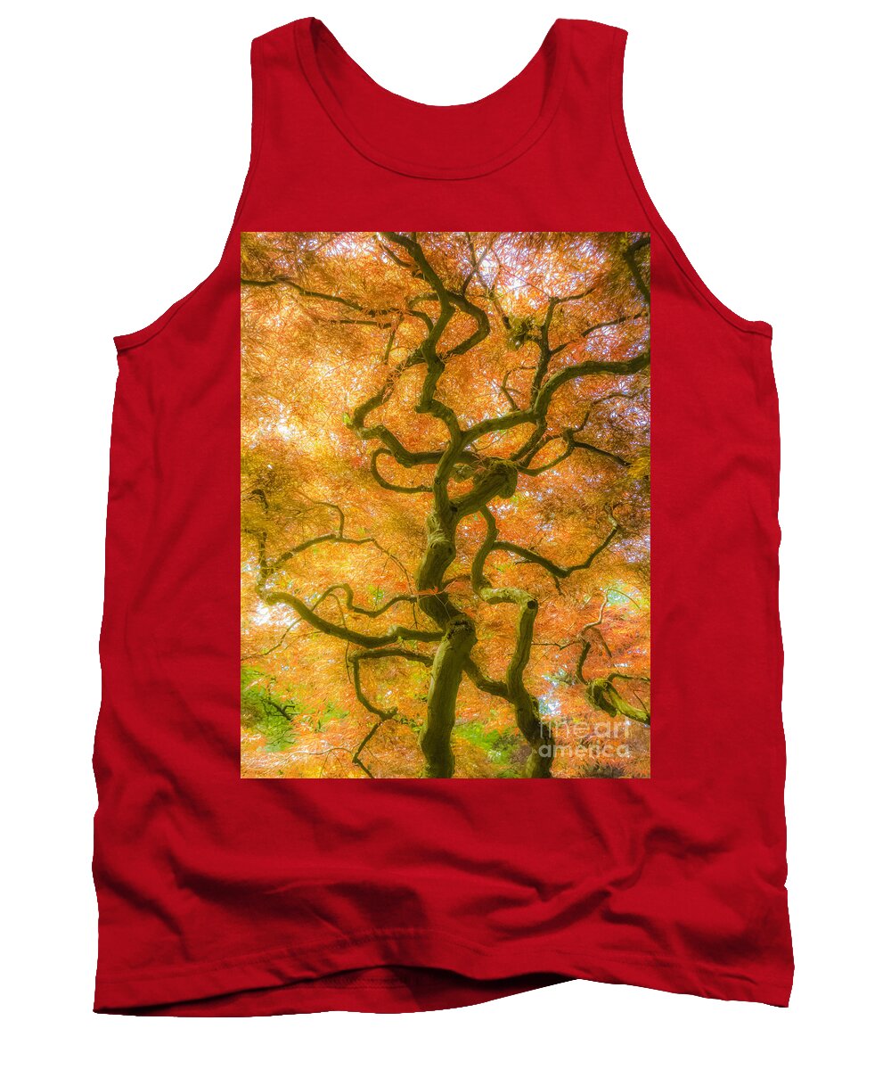 The Magic Forest Tank Top featuring the photograph The Magic Forest-15 by Casper Cammeraat