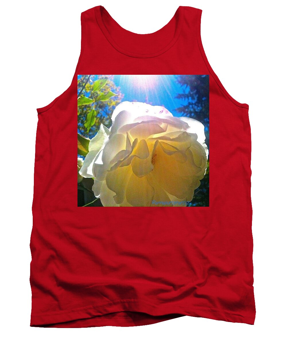 Floral Tank Top featuring the photograph White Rose And Sunshine by Anna Porter