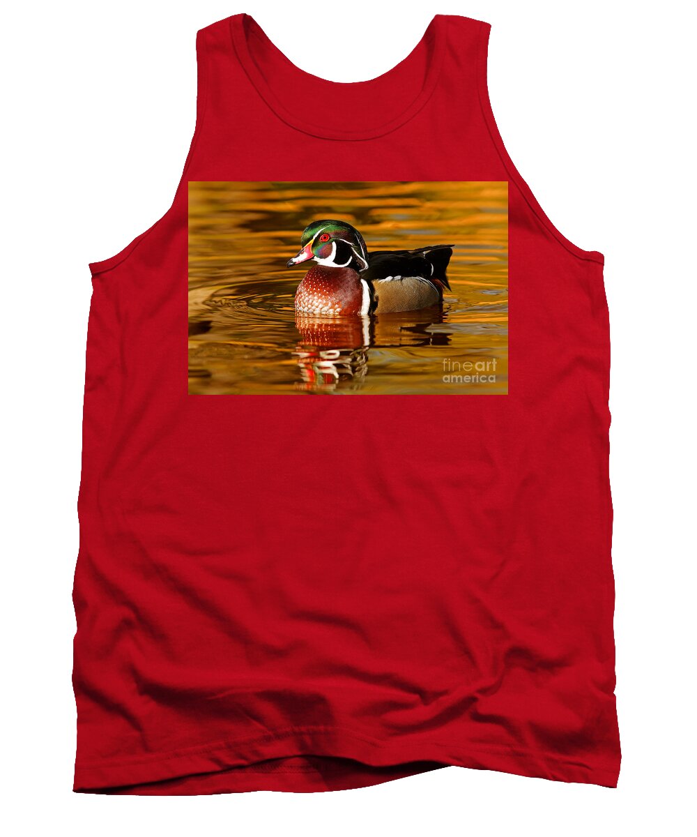 Wood-duck Tank Top featuring the photograph Wood-drake on the golden light by Mircea Costina Photography