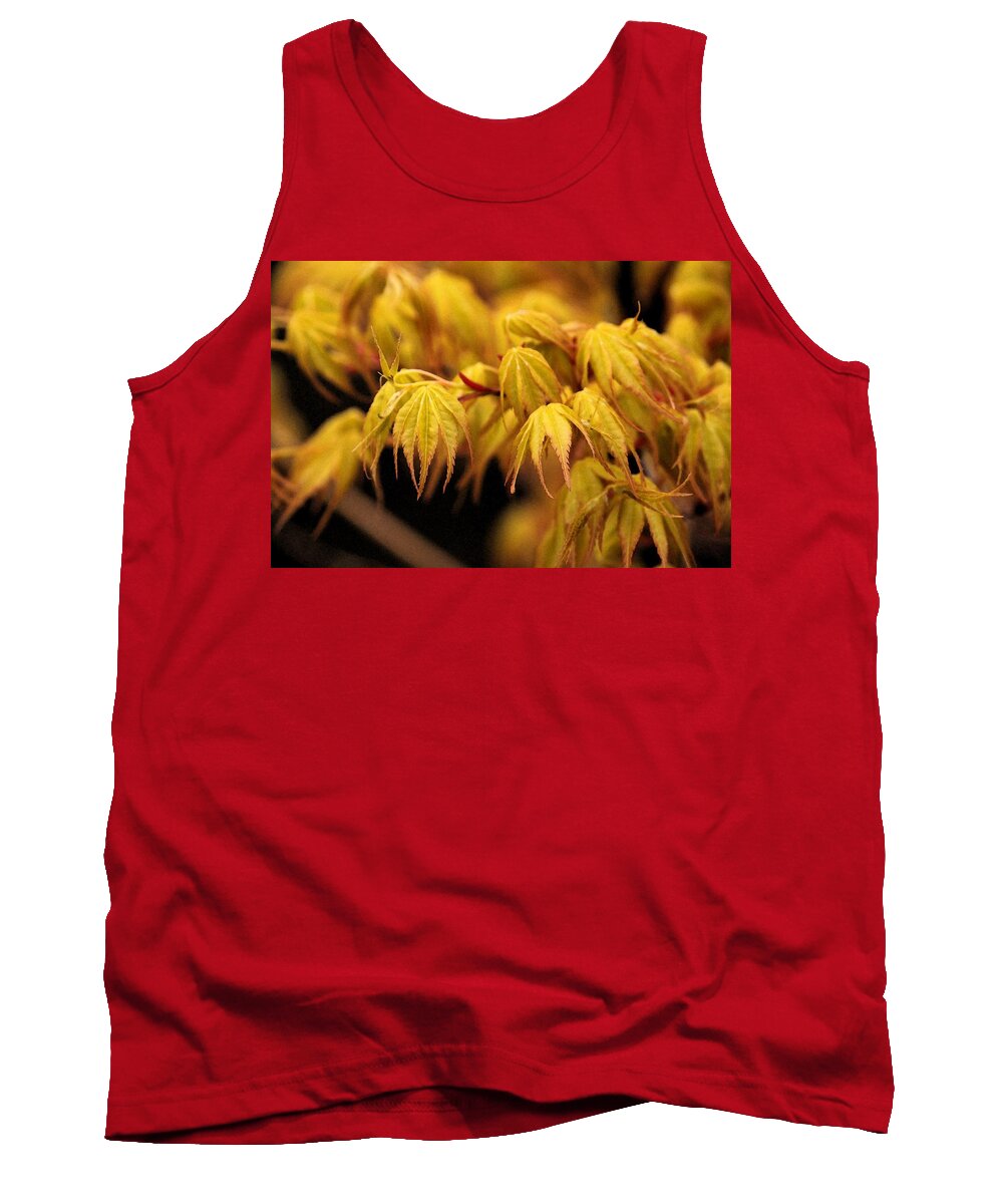 Woods Tank Top featuring the photograph Woodland Awakening by Carolyn Jacob