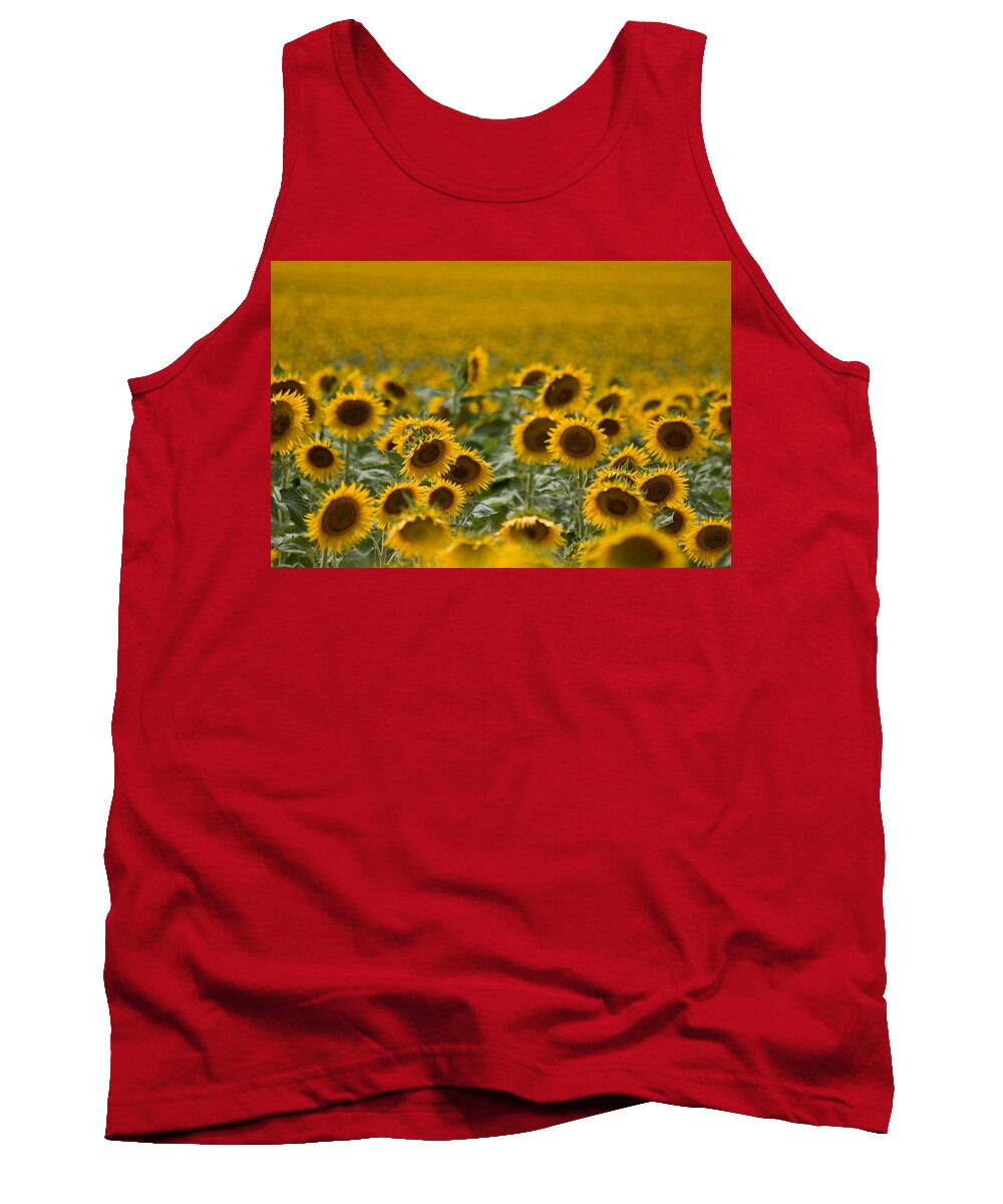 Sunflower Tank Top featuring the photograph Yellow by Ronda Kimbrow
