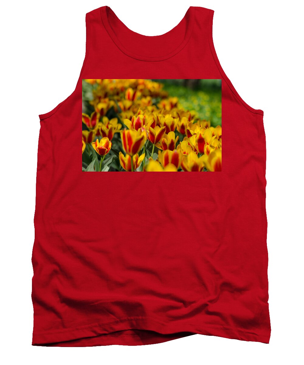 Spring Tank Top featuring the photograph Spring mood by Michael Goyberg