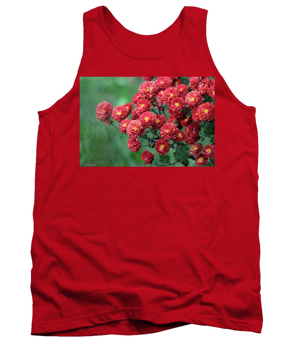 Mums Tank Top featuring the photograph Beautiful Red Mums by Trina Ansel