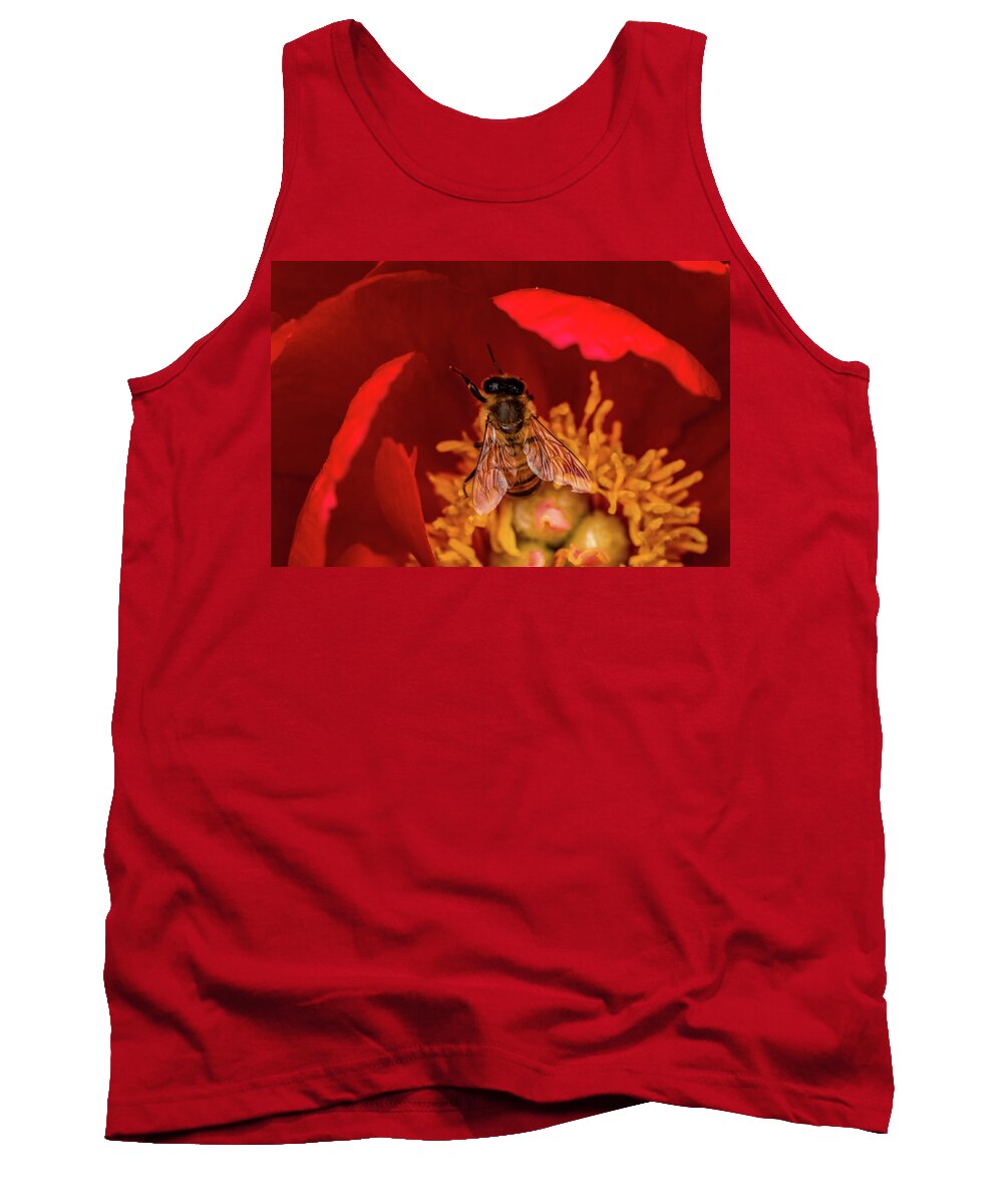 Jay Stockhaus Tank Top featuring the photograph Bee #1 by Jay Stockhaus