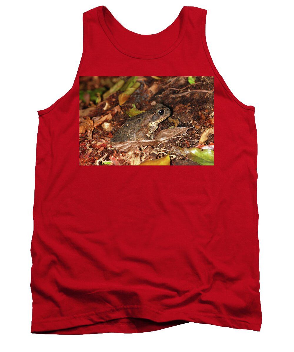 Bufo Marinos Tank Top featuring the photograph Cane Toad #1 by Breck Bartholomew