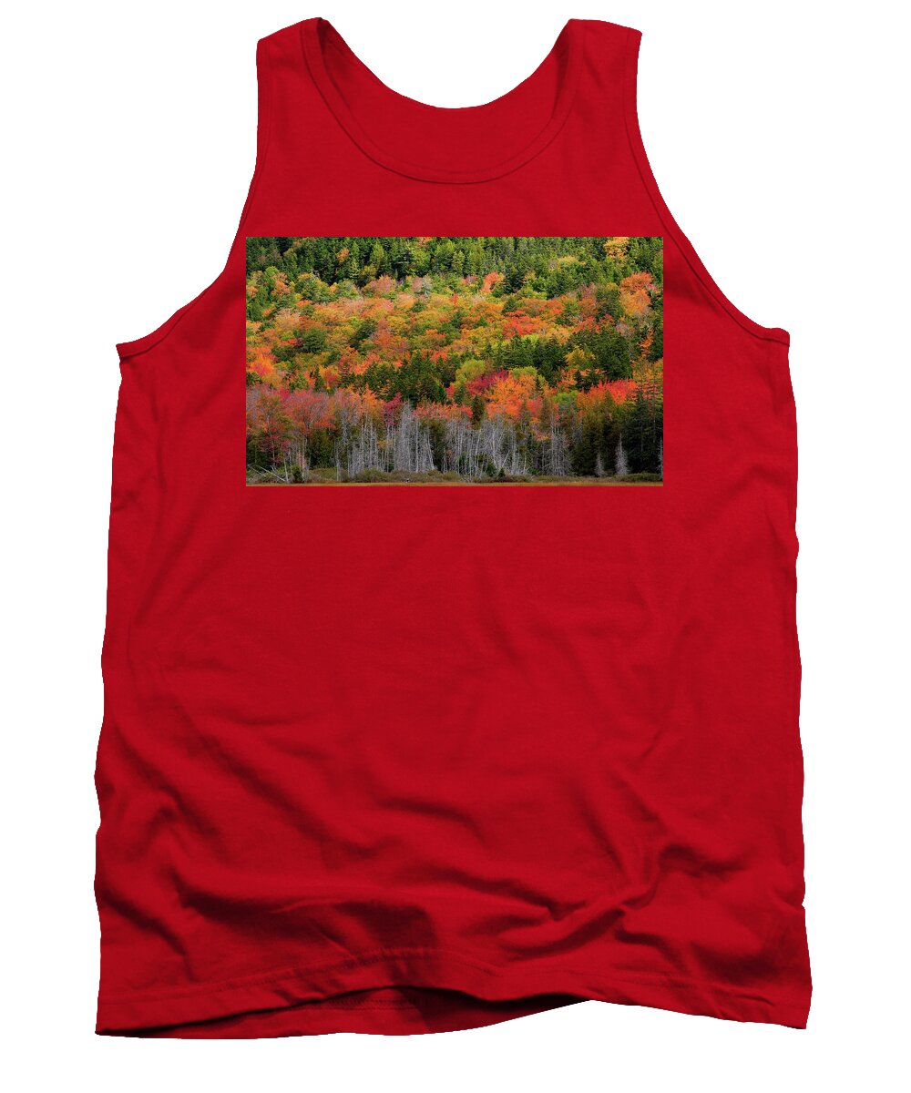 Fall Colors Tank Top featuring the photograph Foliage Time #1 by Alberto Audisio