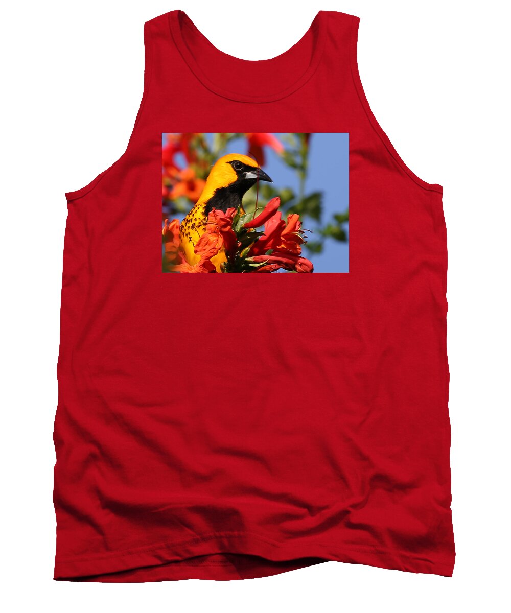 Spot Breasted Oriole Tank Top featuring the photograph Spot Breasted Oriole #2 by Dart Humeston