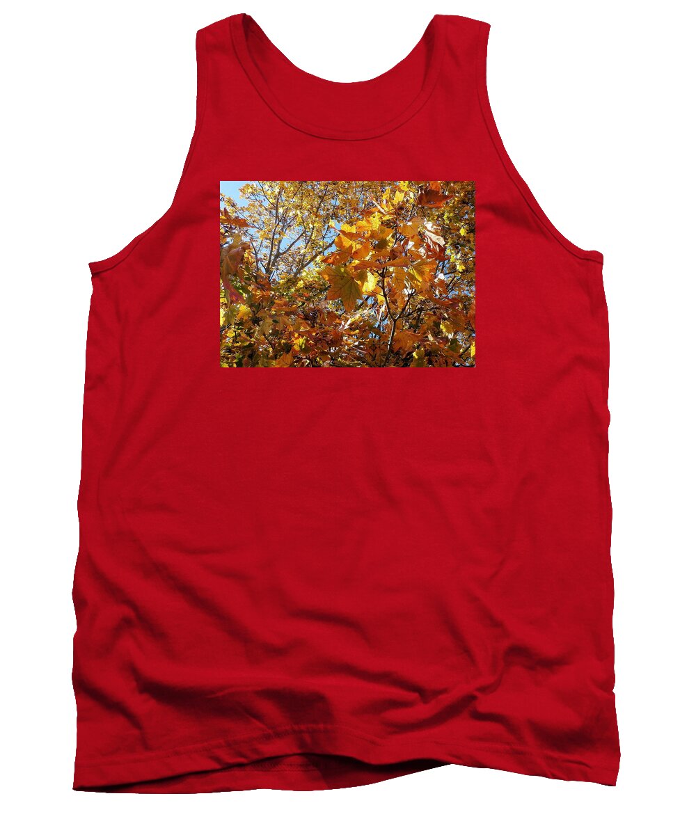 Leaves Tank Top featuring the photograph Autumn Leaves #2 by Wolfgang Schweizer