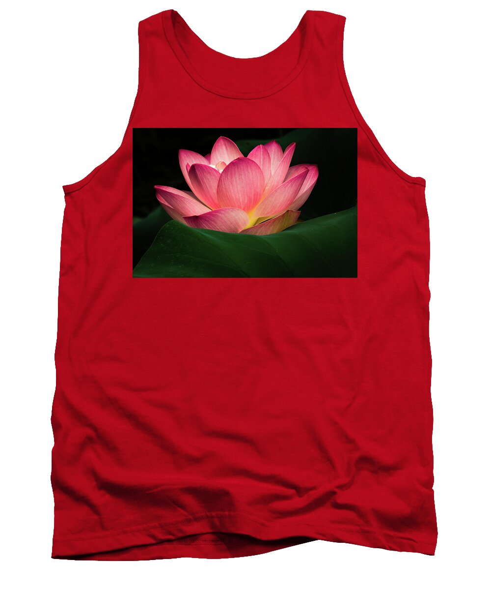 Jay Stockhaus Tank Top featuring the photograph Water Lily #4 by Jay Stockhaus