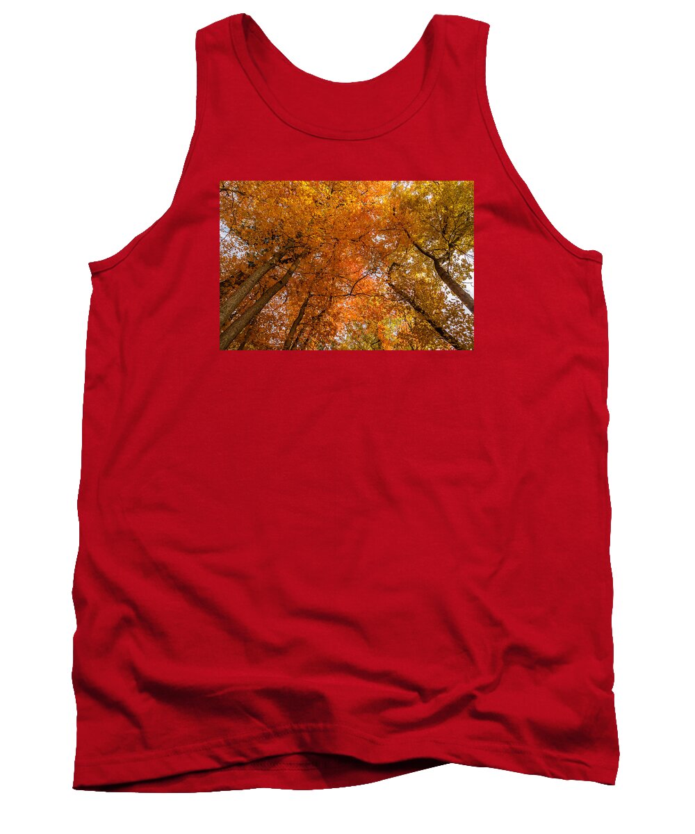 Park Tank Top featuring the photograph Fall foliage #6 by SAURAVphoto Online Store