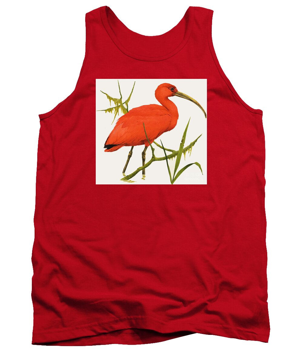 A Scarlet Ibis Tank Top featuring the painting A Scarlet Ibis from South America by Kenneth Lilly