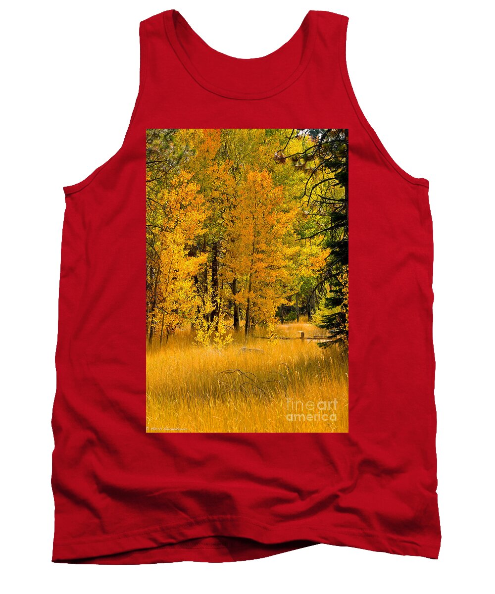 Fall Tank Top featuring the photograph All The Soft Places To Fall by Mitch Shindelbower