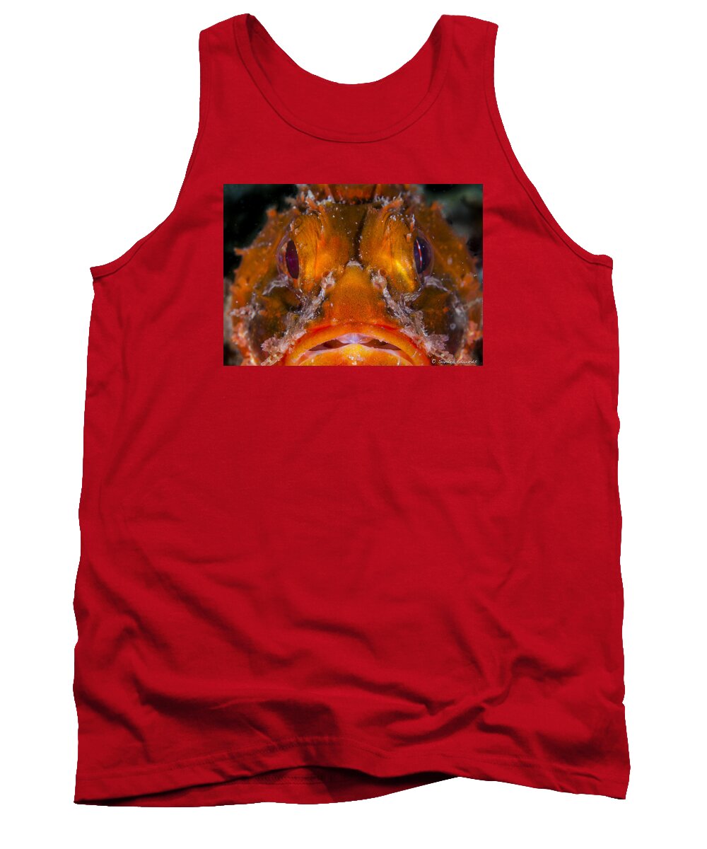 Barbfish Tank Top featuring the photograph Allow Me To Introduce Myself by Sandra Edwards