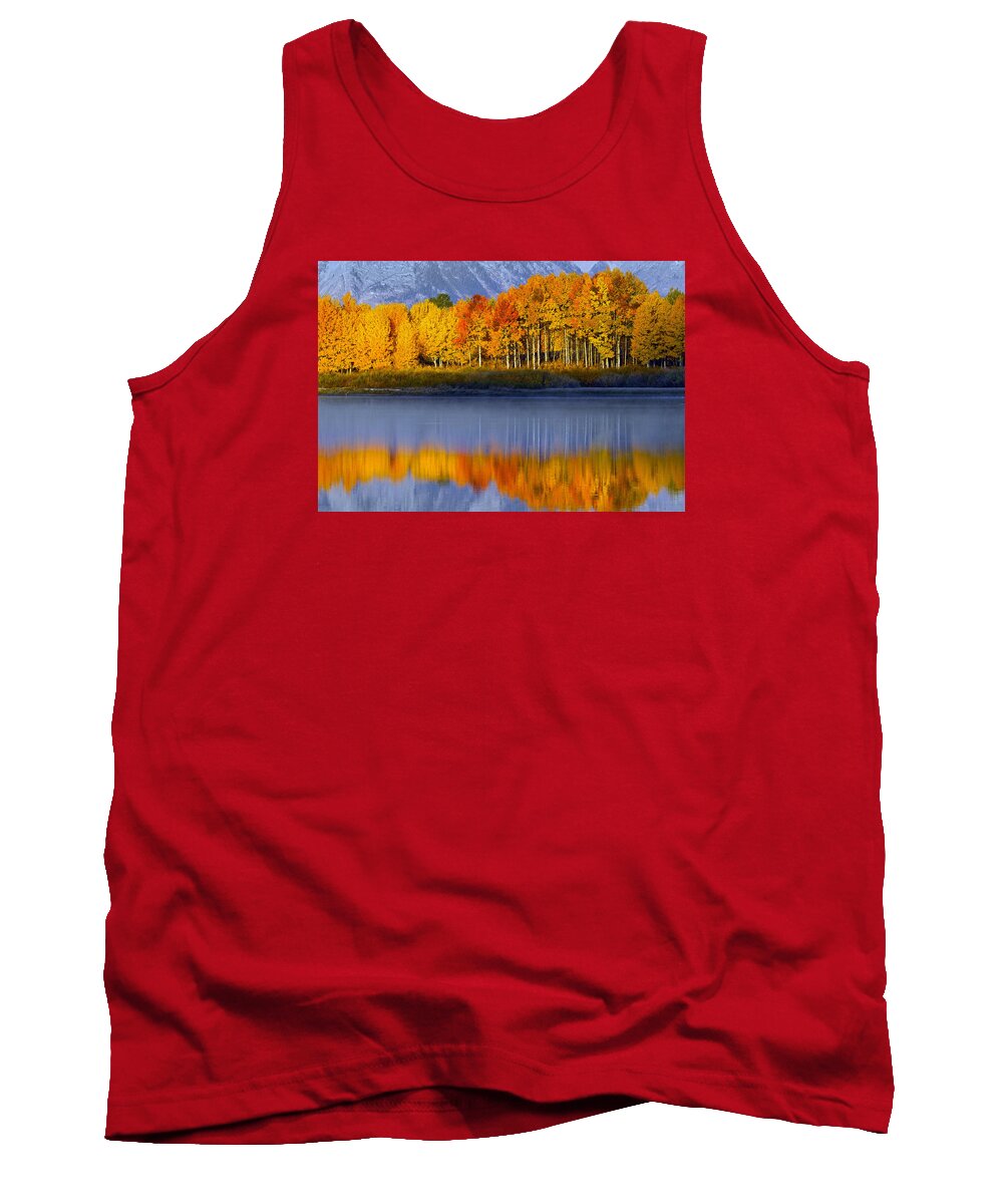 Aspen Tank Top featuring the photograph Aspen Reflection by Wesley Aston