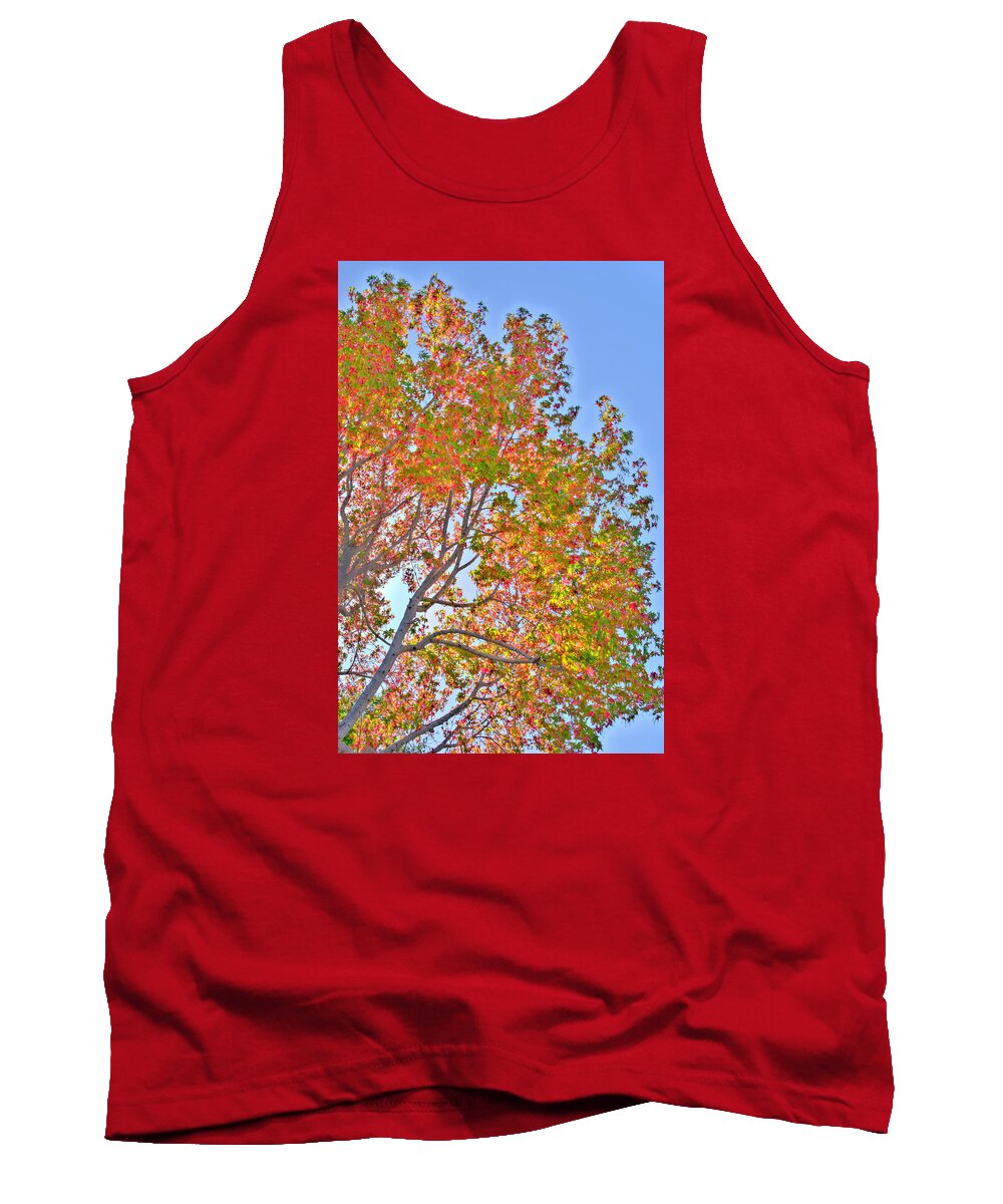 Fall Tank Top featuring the photograph Ball to the Wall Fall by Derek Dean