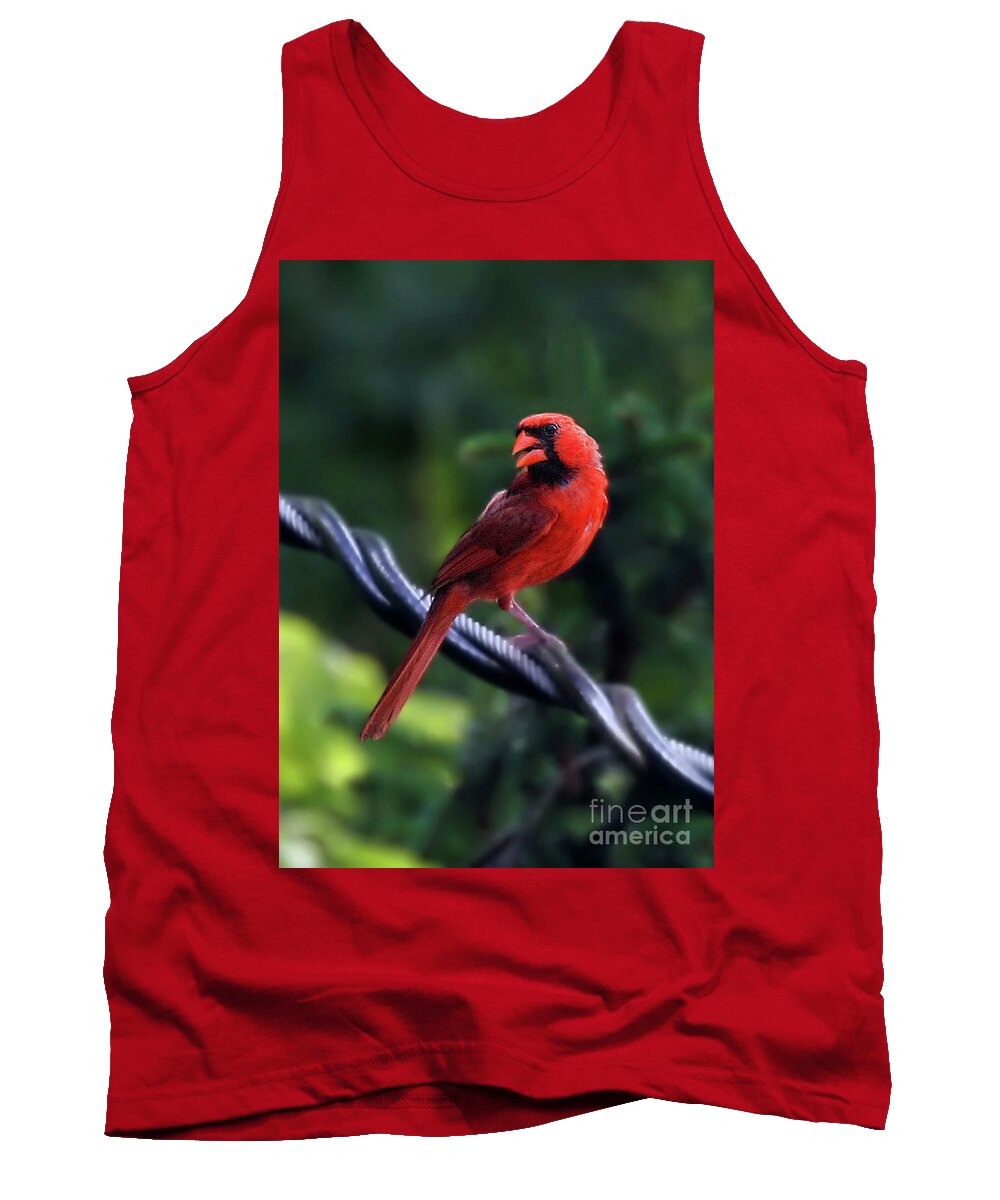 Male Cardinals Tank Top featuring the photograph Bird On A Wire by Geoff Crego